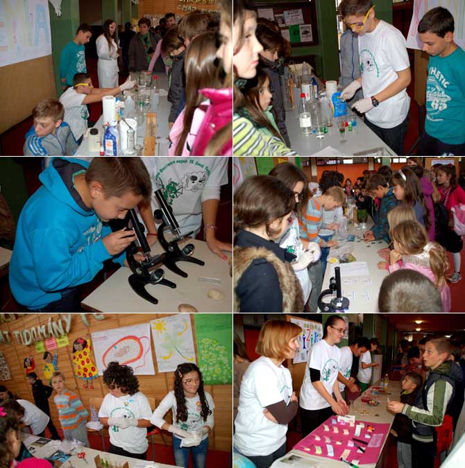 Tudományok fesztiválja a Zmaj iskolában 2015. október 22. képek